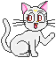 cats3.gif