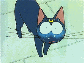 image901.gif